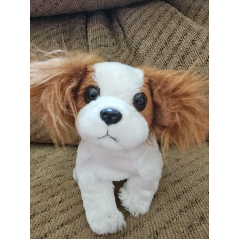 TY Beanie Baby 2000-2001 โRegalโ dog Beanie Baby Stuffed Animal Plush